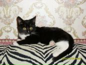 Фотография Коноваловой Натальи