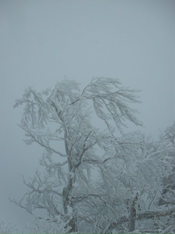 Дмитрий Журба фотография #31