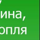 Володимир Зуєв фотография #19 (источник - https://vk.com/id87532339)
