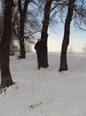 Ігор Бокотько фотография #27 (источник - https://vk.com/id163894791)