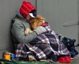 Володимир Лапман фотография #26 (источник - https://vk.com/id8189078)