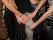 Фотография Гуриной Елены