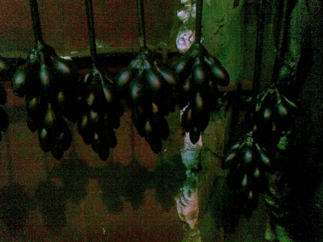 Иван Николаевич фотография #36