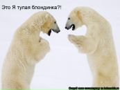 Фотография Козловой Анастасии