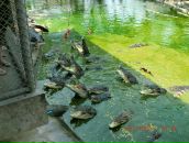 Фотография Панюшенкова Антона