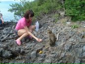 Алина Бойко фотография #47 (источник - https://vk.com/id151836)