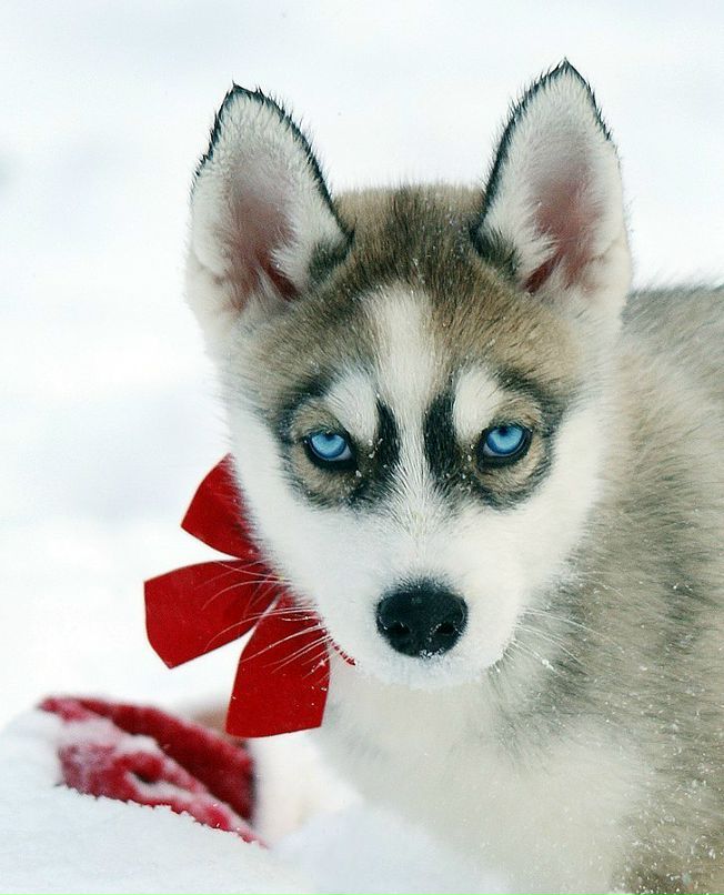 Катя Морозова фотография #2