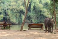 Анна Манько фотография #35 (источник - https://vk.com/id5127598)