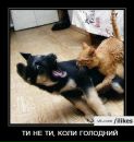 Олег Кінах фотография #28 (источник - https://vk.com/id126722510)