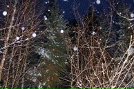 Дарья Базанова фотография #20 (источник - https://vk.com/id8874885)