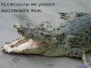 Діма Остапишин фотография #28 (источник - https://vk.com/id26627804)