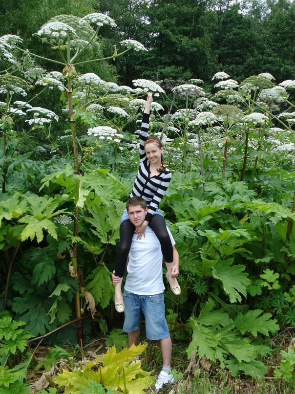 Игорь Машковский фотография #30