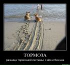 Борис Сергеевич фотография #46 (источник - https://vk.com/id223648)