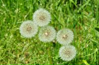 Фотография Х Натали