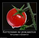 Фотография Костенко Ольги
