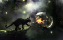 Фотография Дорофеевой Ирины