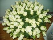 Фотография Скрекли Ирины