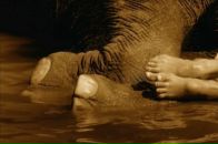 Ir Ra фотография #1