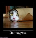Ігор Зубенко фотография #33 (источник - https://vk.com/id1185620)