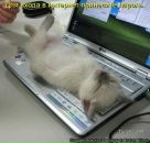 Дмитрий Сидоров фотография #29 (источник - https://vk.com/id2388749)