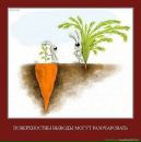 Сергій Баніт фотография #27 (источник - https://vk.com/id21088363)