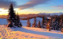 Фотография Кореньковой Елены