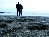 Фотография Шустова Дина