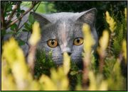 Фотография Чуровой Татьяны