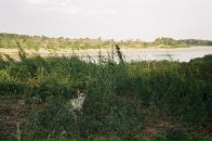 Фотография Окунева Романа
