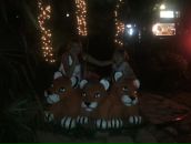 Фотография Ивановой Яны