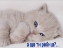 Діана Петрик фотография #1