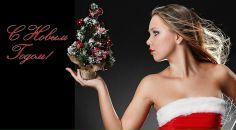 Фотография Телухиной-Васильевой Елены