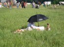 Сашко Сірко фотография #30 (источник - https://vk.com/id16936848)