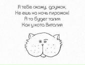 Фотография Шихов Денис