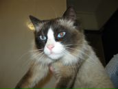 Фотография Мелдовой Марины