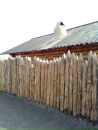 Міша Нос фотография #37 (источник - https://vk.com/id134042519)