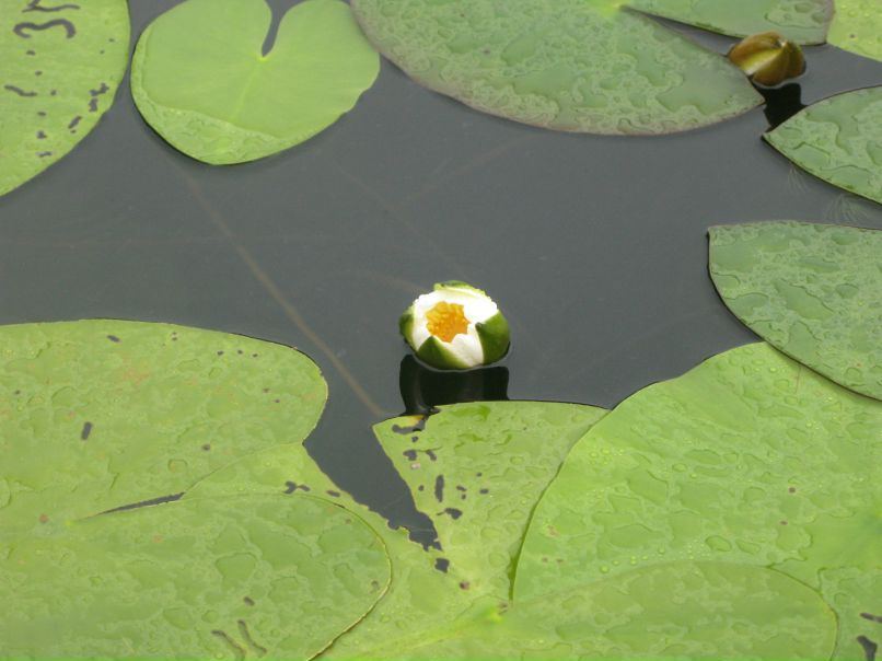 Андрей Курицын фотография #25