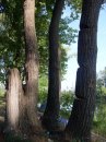 Фотография Калинкина Максима