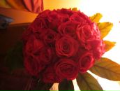 Марія Шутович фотография #7 (источник - https://vk.com/id140592255)