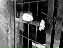 Іра Салата фотография #47 (источник - https://vk.com/id45528260)