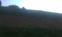 Фотография Петрова Георгия