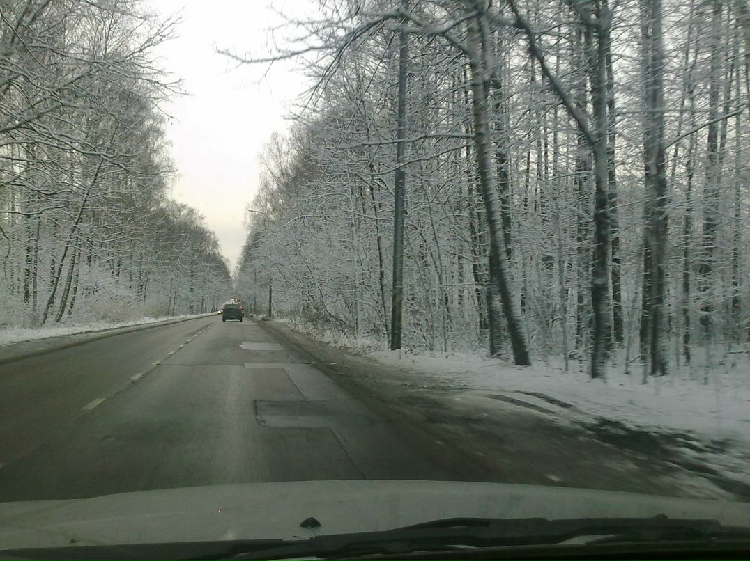 Дмитрий Гориславец фотография #23