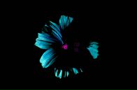 Рустем Гайсин фотография #38 (источник - https://vk.com/id3822511)