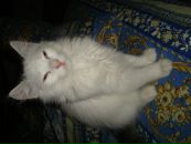Фотография Журавлева Ивана