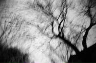 Фотография Светогор Анастасия