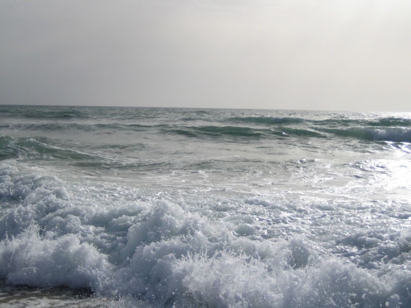 Дмитрий Иванов фотография #30