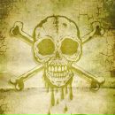 SIR 13 фотография #10 (источник - https://vk.com/id26441930)