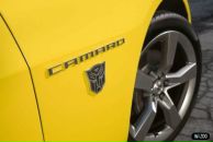 Фотография Mitrofanoff Аlex