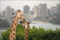 Фотография Орловой Ирины