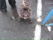 Фотография Иевлевой Юлии